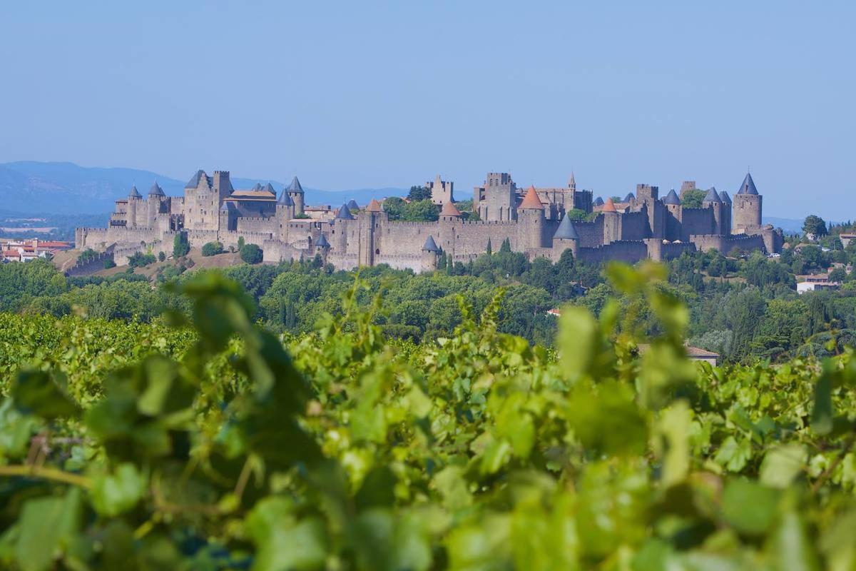 Tout Confort ! Climatisation, Calme, Piscine, Parking Gratuit, Terrasse, Wifi Apartman Carcassone Kültér fotó