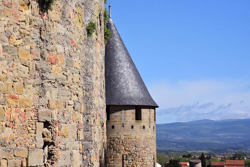 Tout Confort ! Climatisation, Calme, Piscine, Parking Gratuit, Terrasse, Wifi Apartman Carcassone Kültér fotó